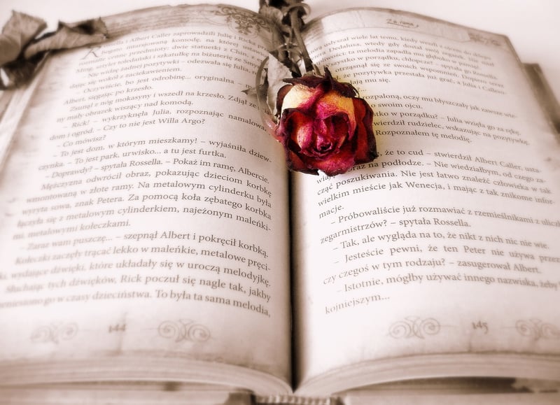 Reading Books